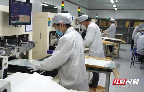 電子工匠展風(fēng)采，勞務(wù)品牌促發(fā)展——冷水灘區(qū)以專業(yè)勞務(wù)品牌助力就業(yè)與產(chǎn)業(yè)雙贏